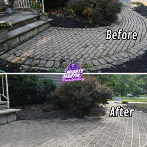 Paver Restoration