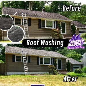 Mighty Martin - Roof Cleaning
