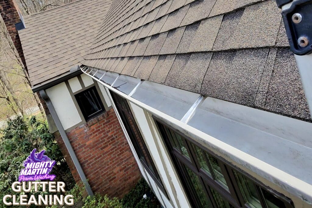 Mighty Martin - Professional Gutter Cleaning